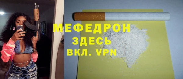 СК Гатчина