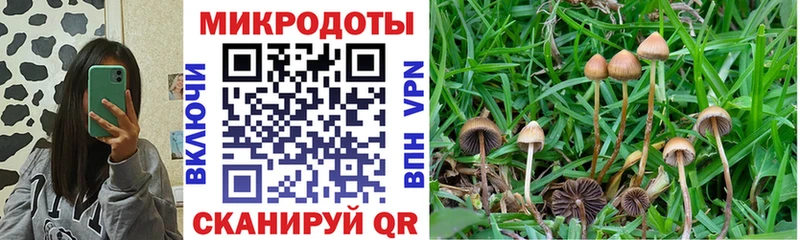 Псилоцибиновые грибы мицелий  цена наркотик  Кизел 